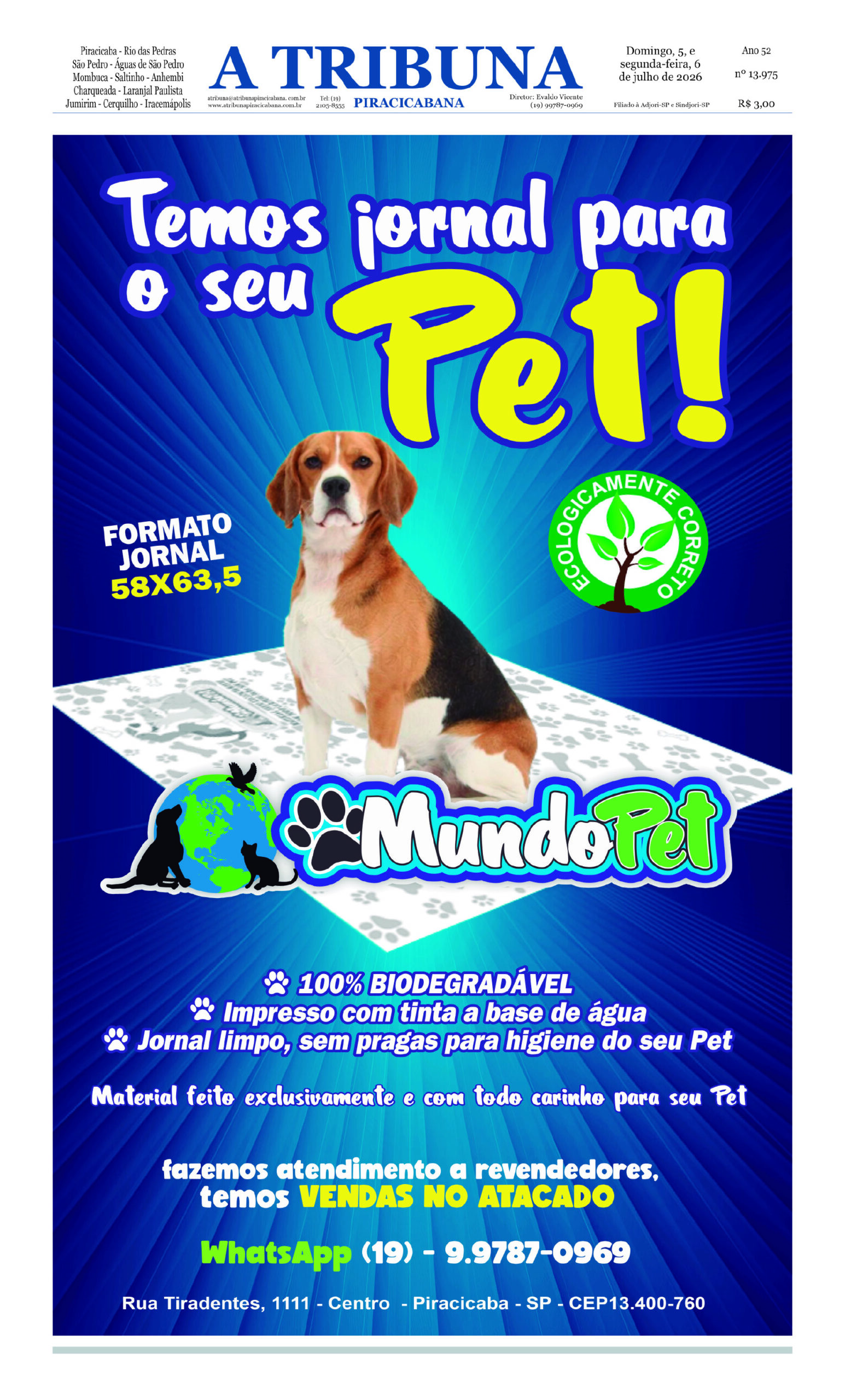 Edicao 13975 - Domingo.pmd