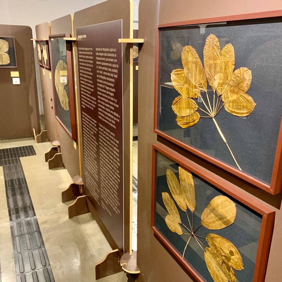 Mostra Terra, Terreno, Território permite que o visitante faça uma reflexão sobre os povos originários nas grandes cidades. CRÉDITO: Divulgação