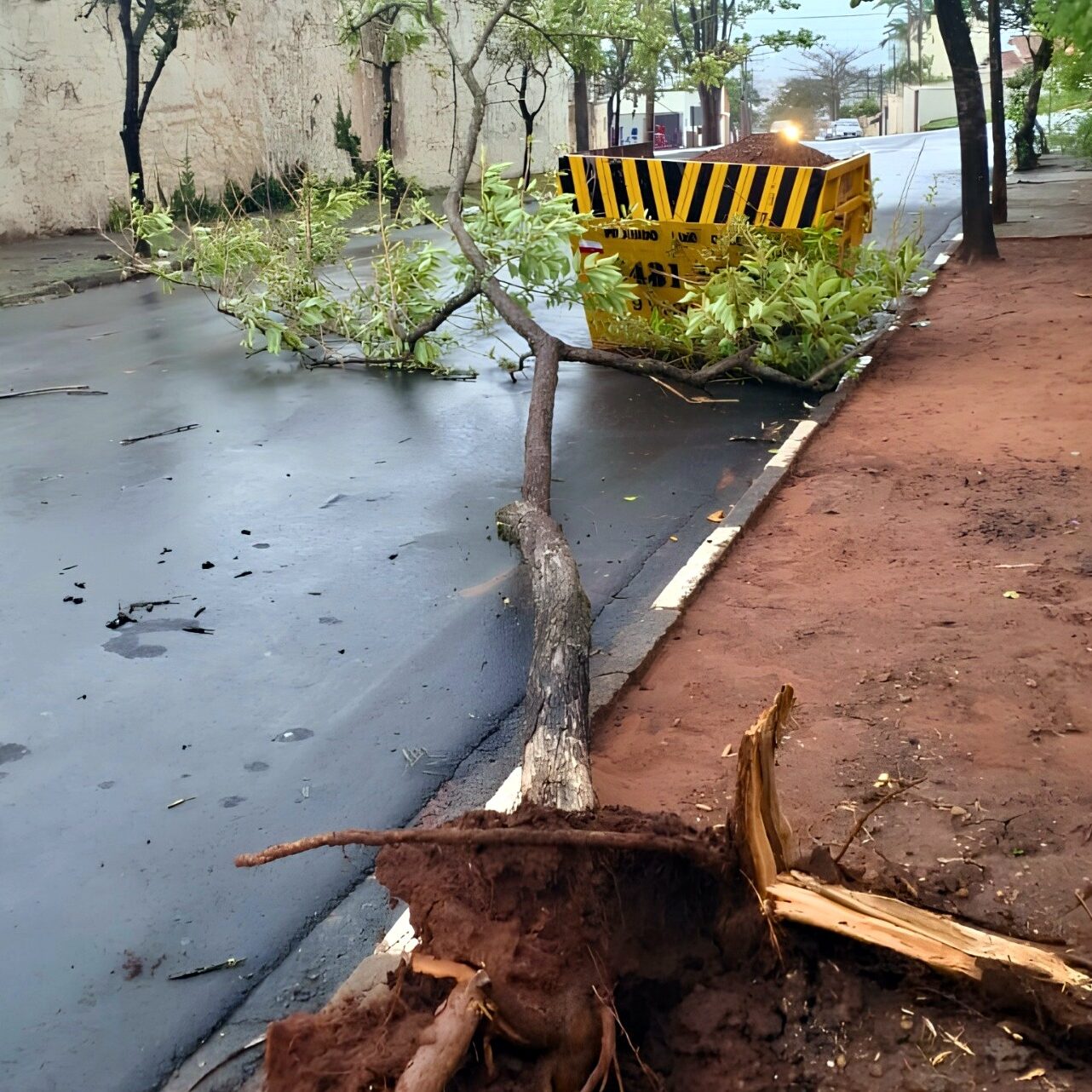 Secretaria recomenda acompanhar as condições meteorológicas e os alertas oficiais - foto: Divulgação