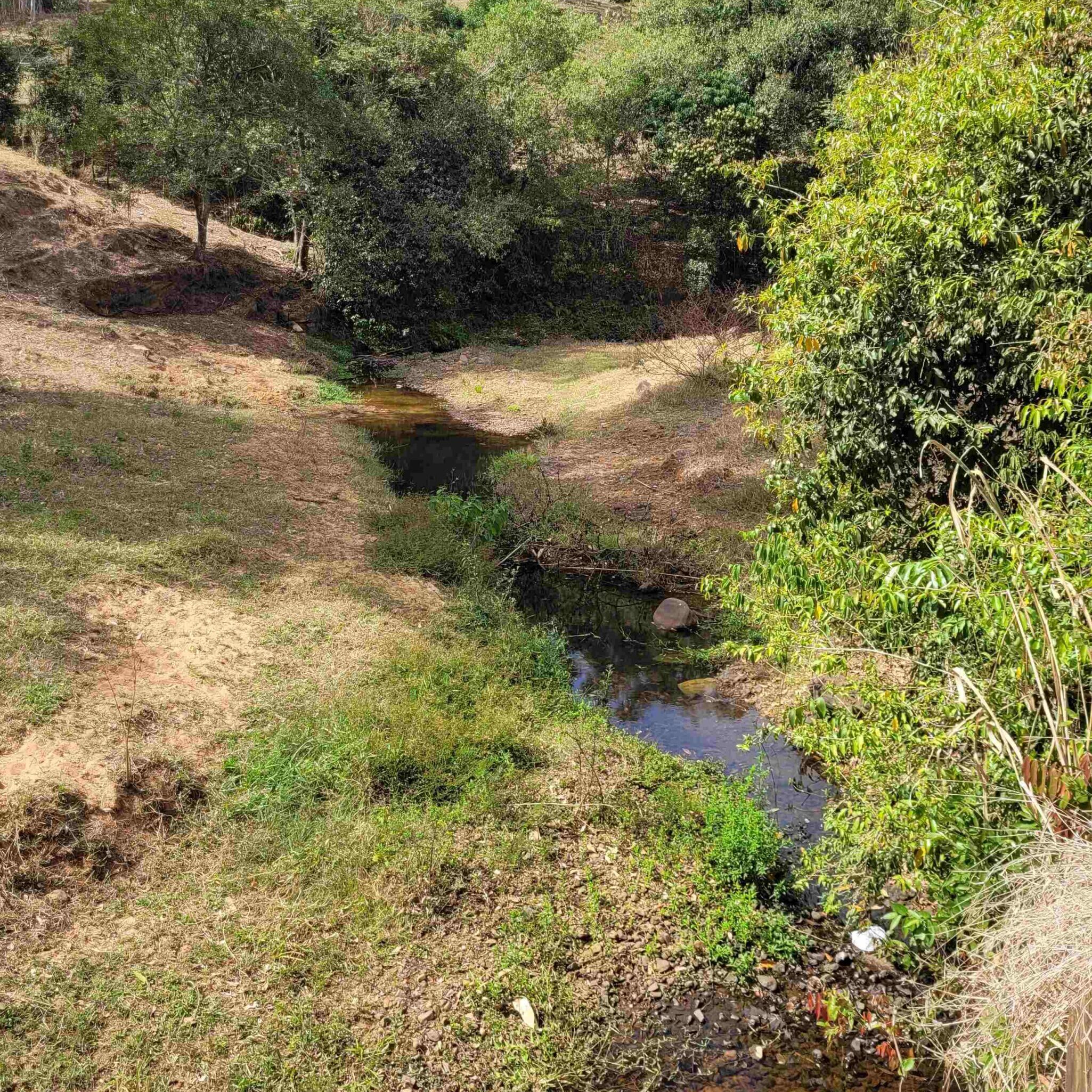 04-09-Campanha (Agua) - PRIMEIRA Ribeirão Pinheiro é um dos que abastece a cidade - foto: Divulgação