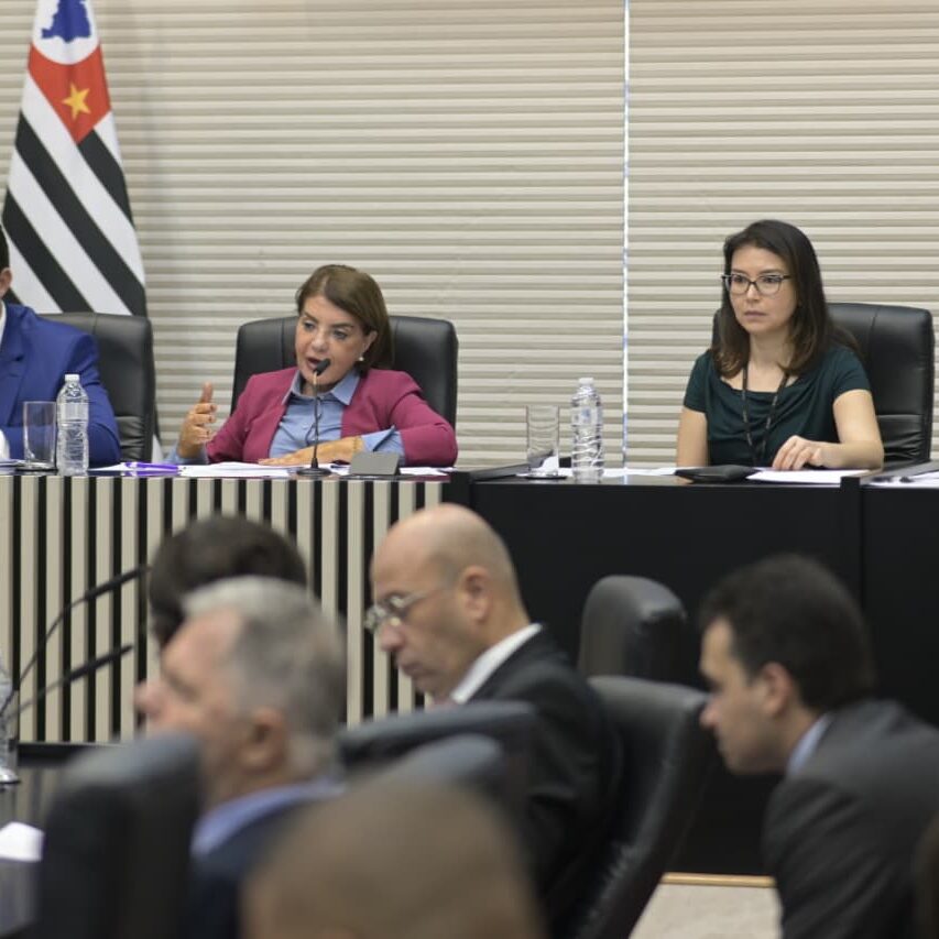 Reunião da Comissão de Educação e Cultura da Alesp, presidida pela deputada estadual Professora Bebel