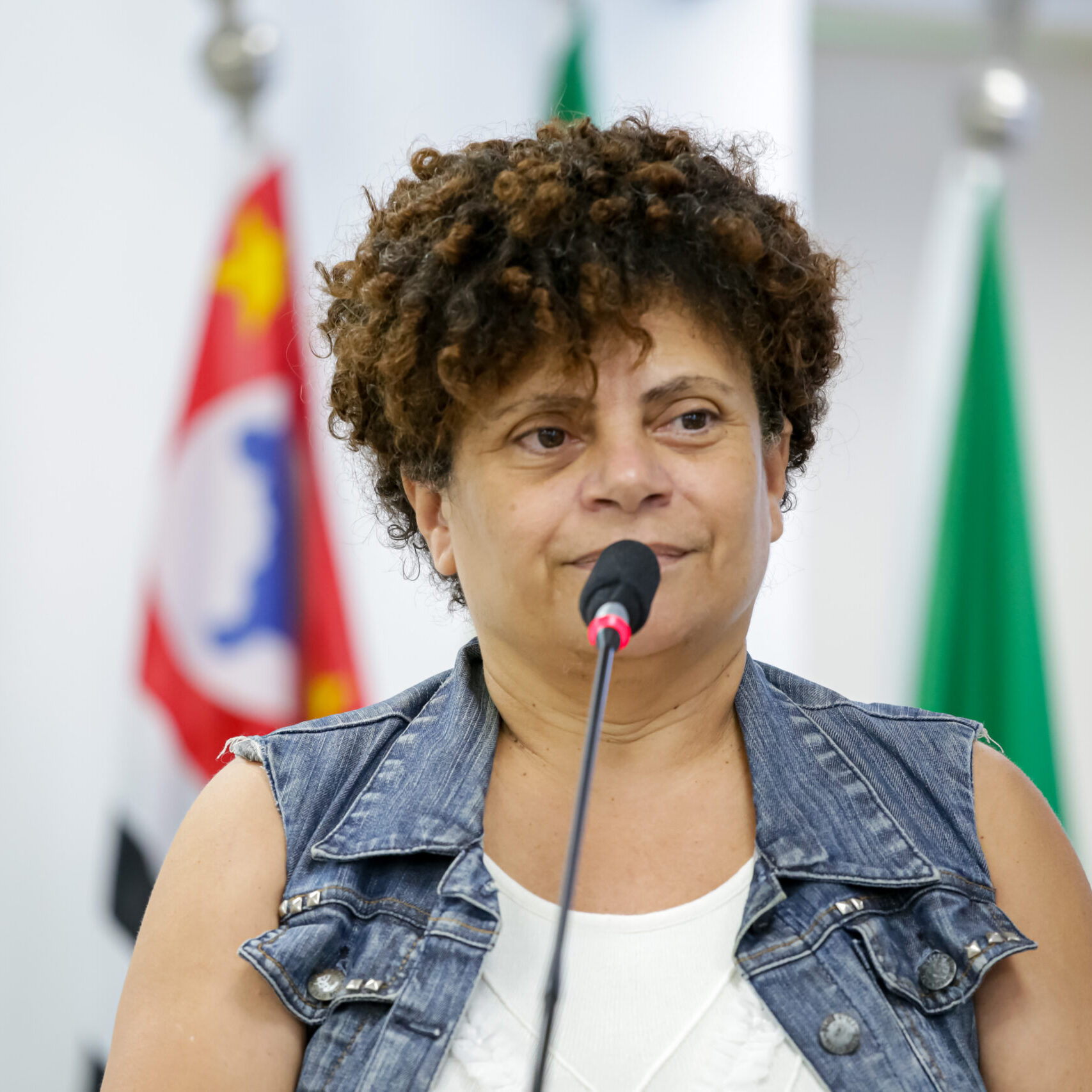 Oradora Claudia Regina Coneglian pede informações e diálogo sobre projeto social em funcionamento na Mansão Rubi. CRÉDITO: Guilherme Leite