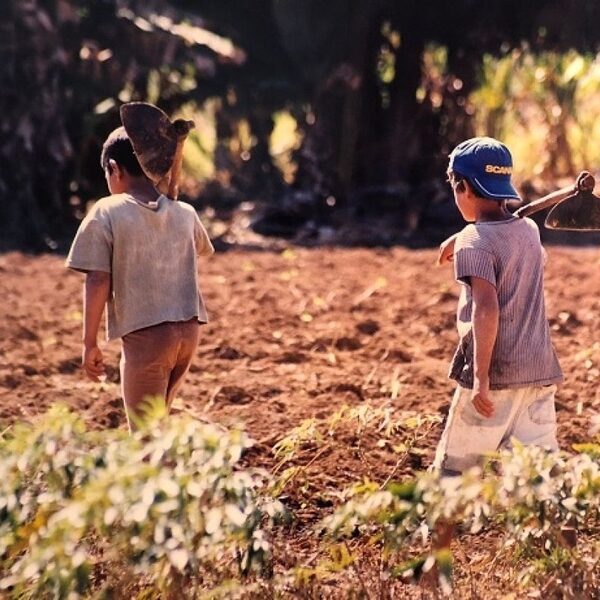 11-06-Trabalho (Infantil)-1 Dados da OIT confirmam mais de 160 milhões de crianças em situação de trabalho infantil no mundo - foto: Divulgação