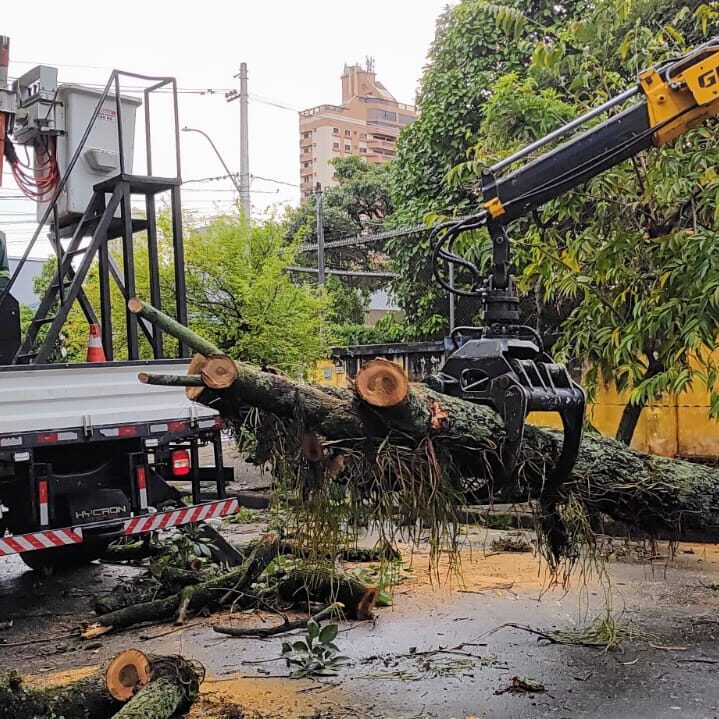 Foram registrados danos decorrentes da chuva em pelo menos 15 pontos 