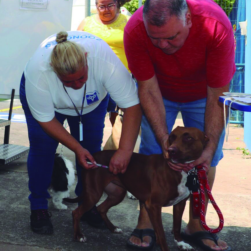 Vacinação antirrábica no Centro de Controle de Zoonoses;CRÉDITO: Divulgação