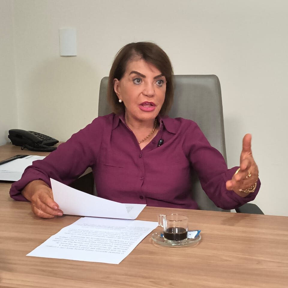 A deputada Professora Bebel diz que os pequenos negócios são responsáveis por movimentar a economia de milhares de municípios brasileiros. CRÉDITO: Divulgação