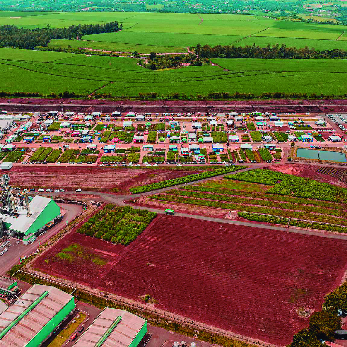 A participação da FUMEP no evento consolida a educação como eixo estratégico para o desenvolvimento sustentável do agronegócio