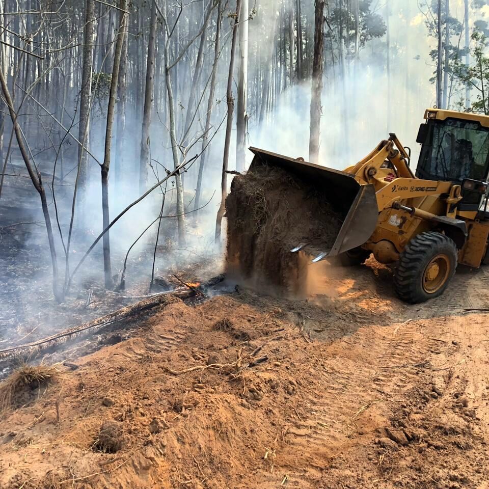 ão Pedro conta com um programa que reúne ações de educação ambiental, comunicação, fiscalização, capacitação de equipes e orientação à população