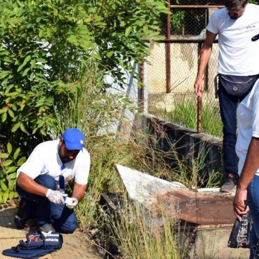 Crédito: Daniella Oliveira/Arquivo