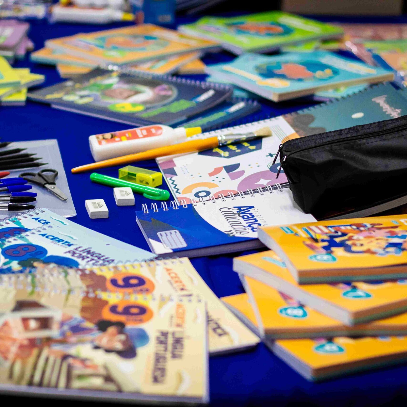 Secretária de Educação, Samanta Bontorim, diz que a qualidade é o principal critério para a aquisição dos materiais - foto: Tiago Stoco