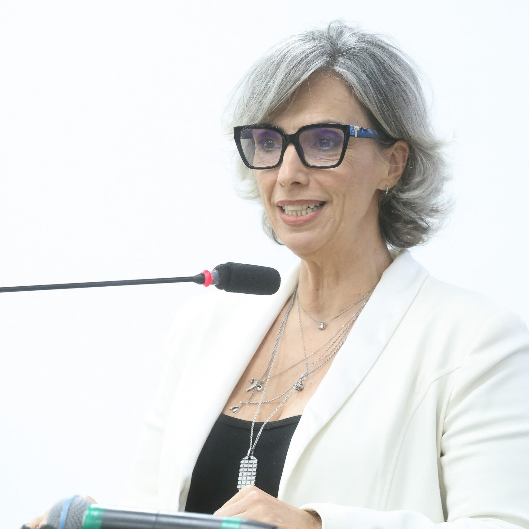 Oradora Simone Seghese é presidente do Conselho da Mulher. CRÉDITO: Rubens Cardia