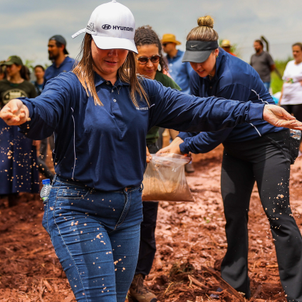 Com a Floresta Ioniq, a Hyundai Motor ampliará as atividades de reflorestamento no Brasil. CRÉDITO: Divulgação