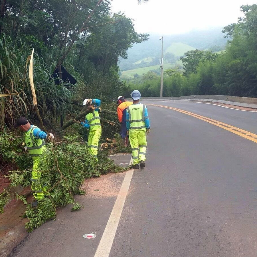 Serviços serão realizados de terça a quinta-feira, das 7h às 17h, no trecho de serra da rodovia - foto: Divulgação